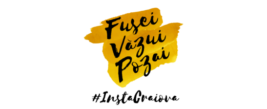 InstaCraiova, The Festival – ediția a a VIII-a