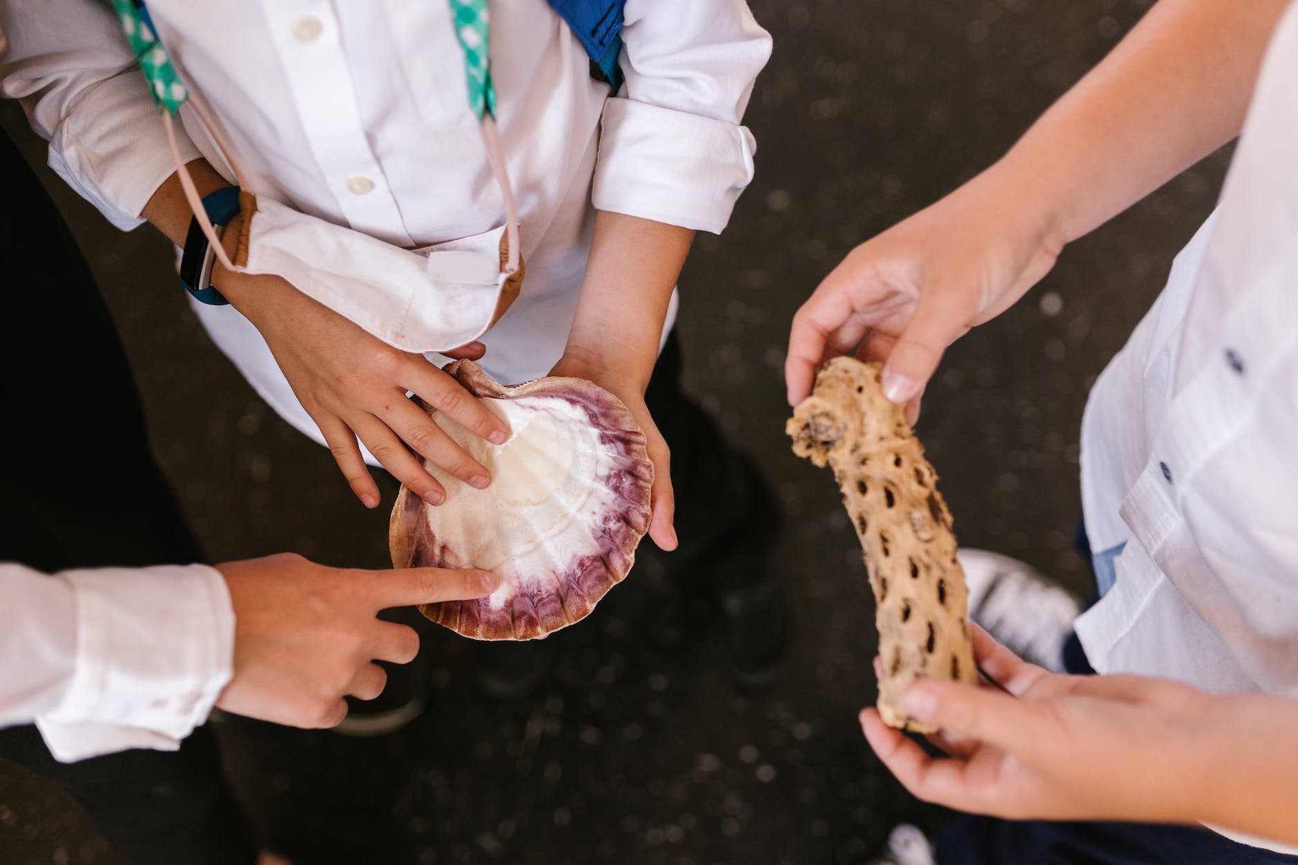 person in white button up shirt holding raw meat