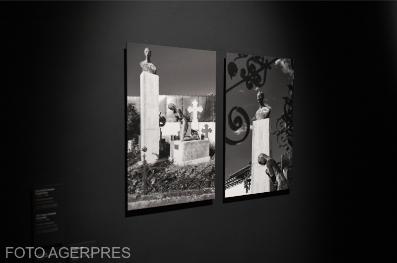 Timișoara: Interes enorm pentru expoziția dedicată lui Brâncuși