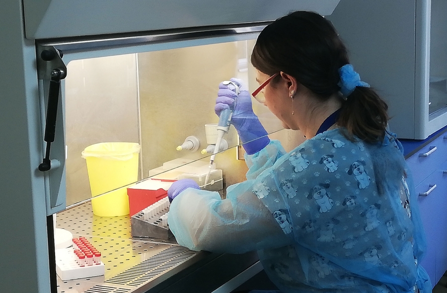 Gorj: Examene trichineloscopice gratuite, la Peștișani