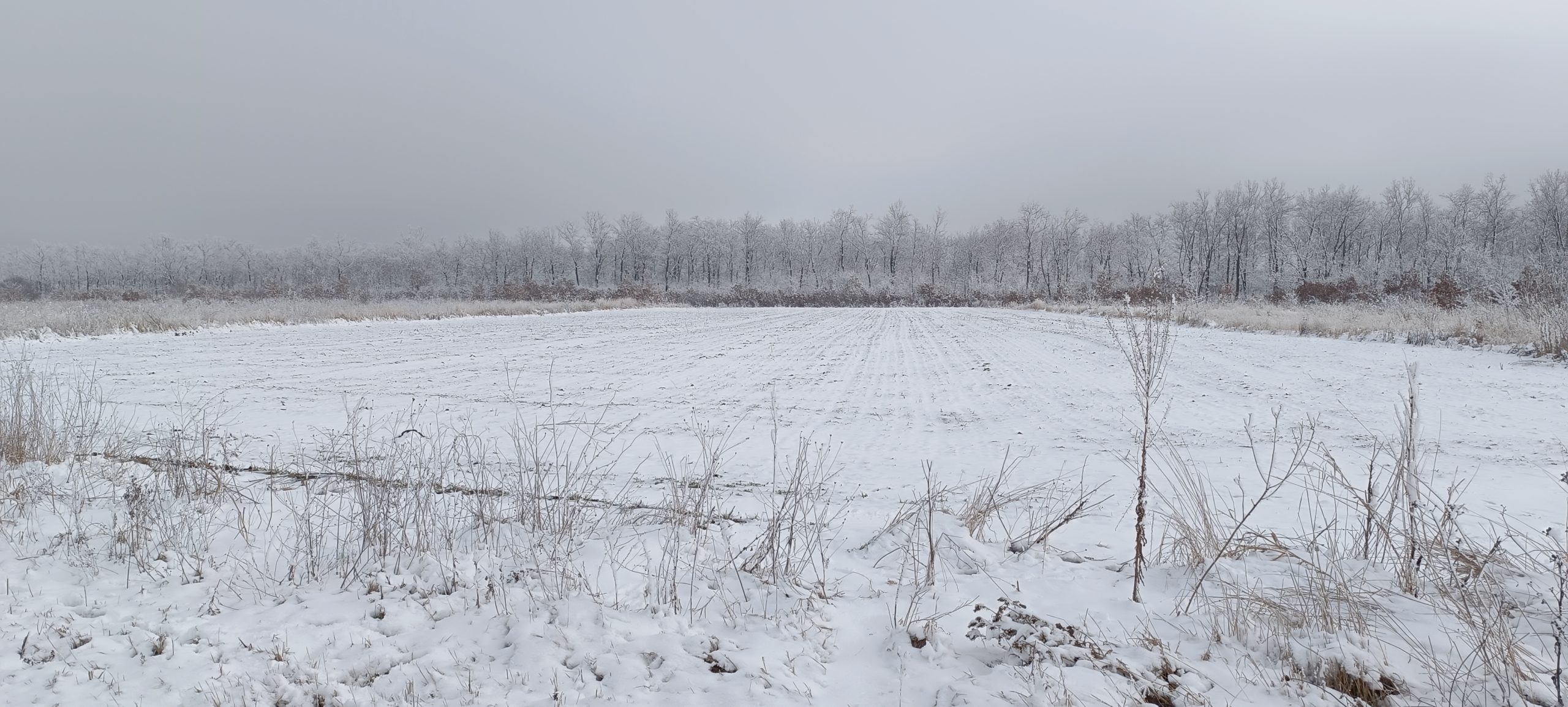 Meteo – 16 februarie