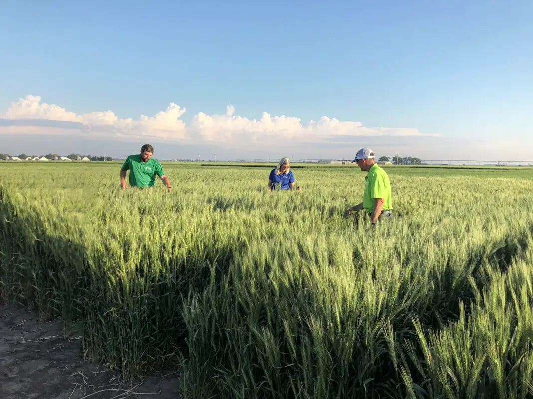  ,,Noi practici Agricole sustenabile prin Agricultura ecologică și Carbon Farming”, un seminar adresat fermierilor din Oltenia