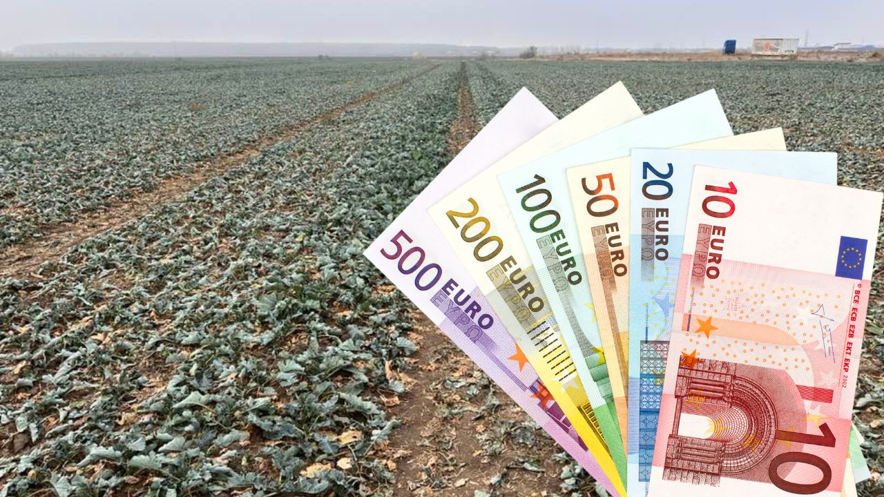 Ministerul Agriculturii: A fost deblocată plata ANT-urilor, sector vegetal