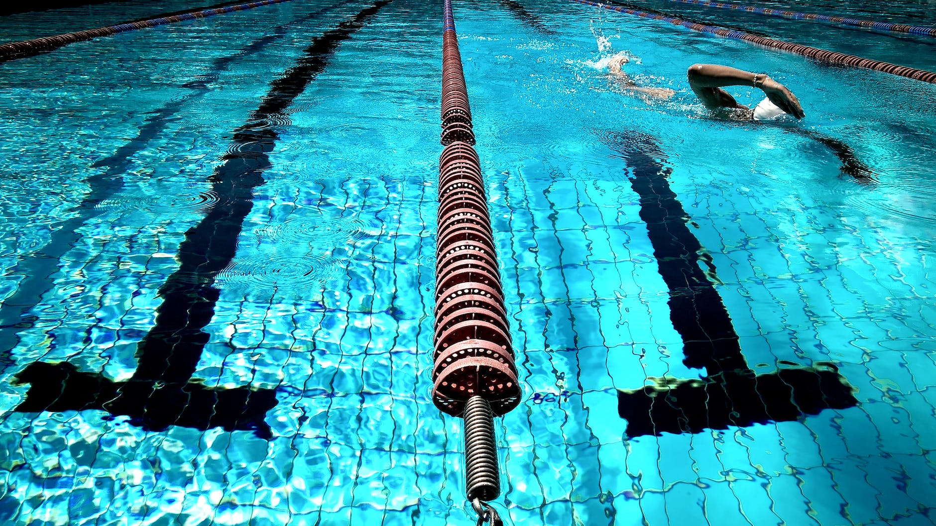 close up photo of swimming rope