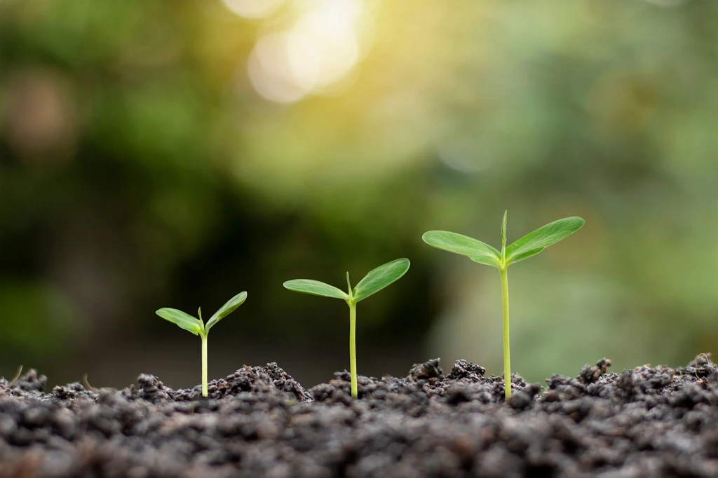 Premieră în Oltenia: ,,Agricultura carbonului,,(Carbon Farming) (AUDIO)