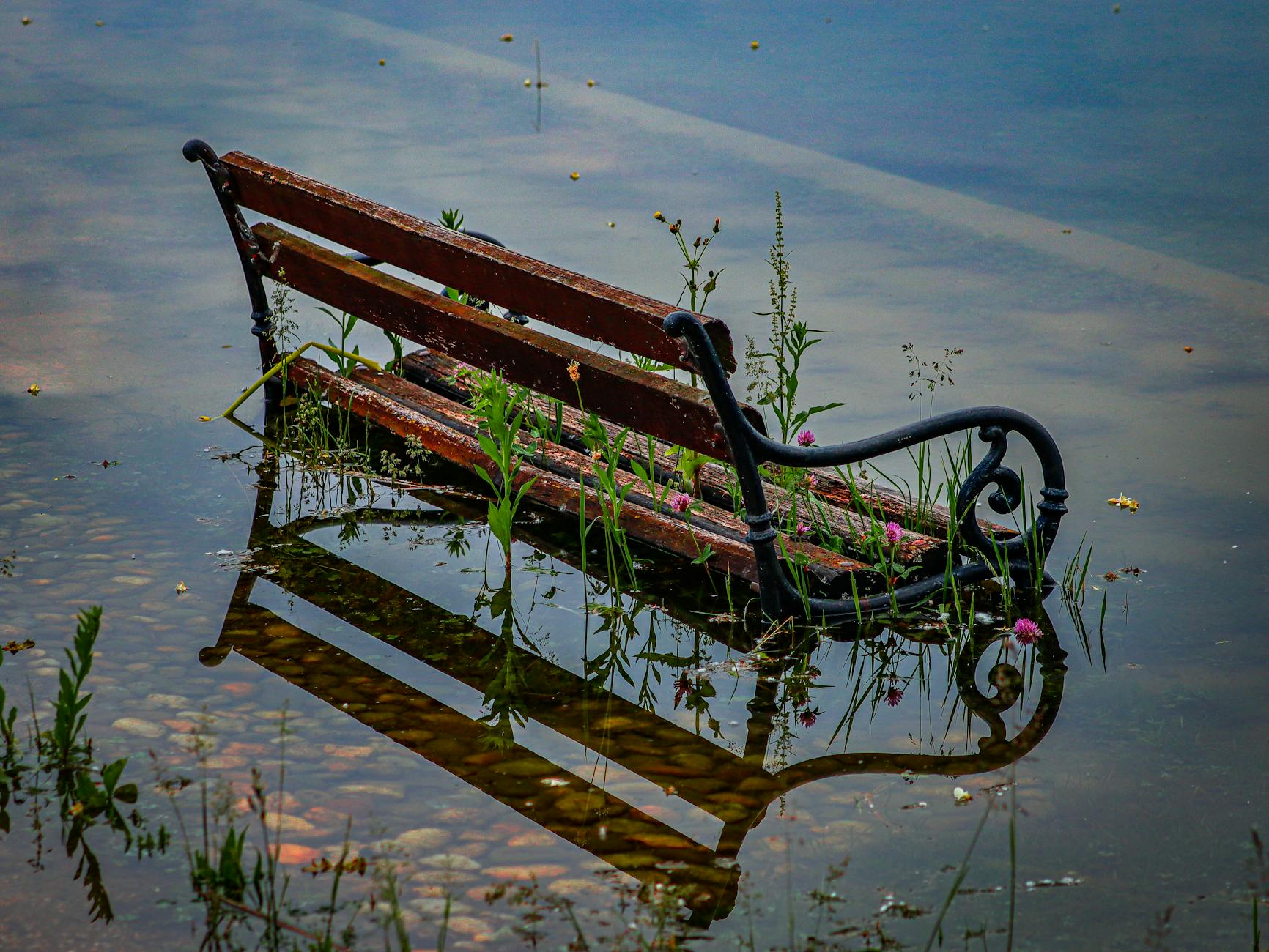 bench reflecting in water