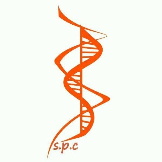 Craiova: conferința „Sănătatea femeii – Împreună pentru sănătate și natalitate”