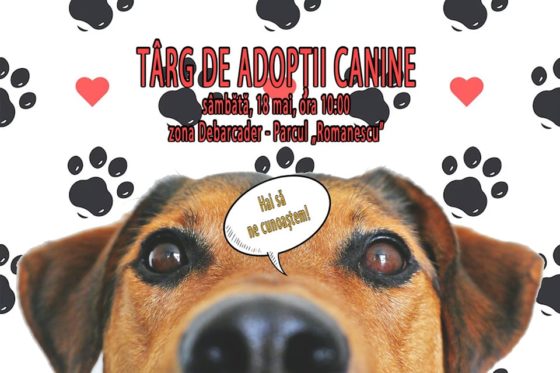 Craiova: târg de adopții canine în Parcul Romanescu