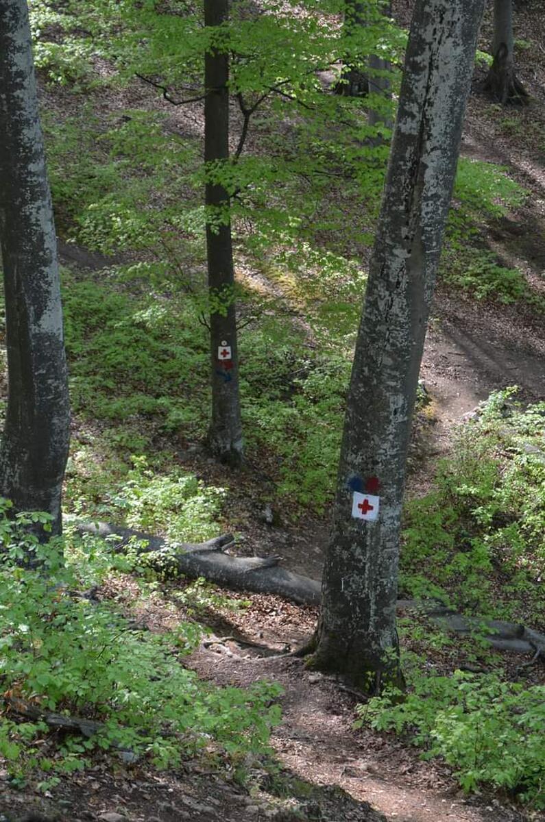 Noul traseu turistic din Baia de Fier: Plimbare pitorească peste creasta montană a Peșterii Muierilor