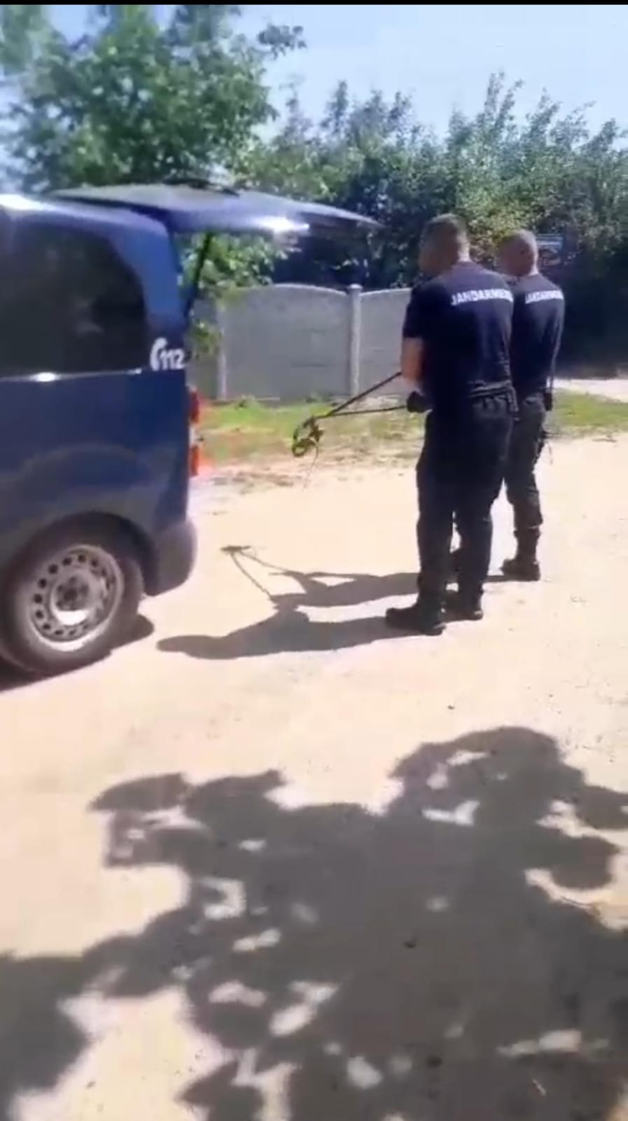 Jandarmii din Mehedinți intervin pentru îndepărtarea unui șarpe