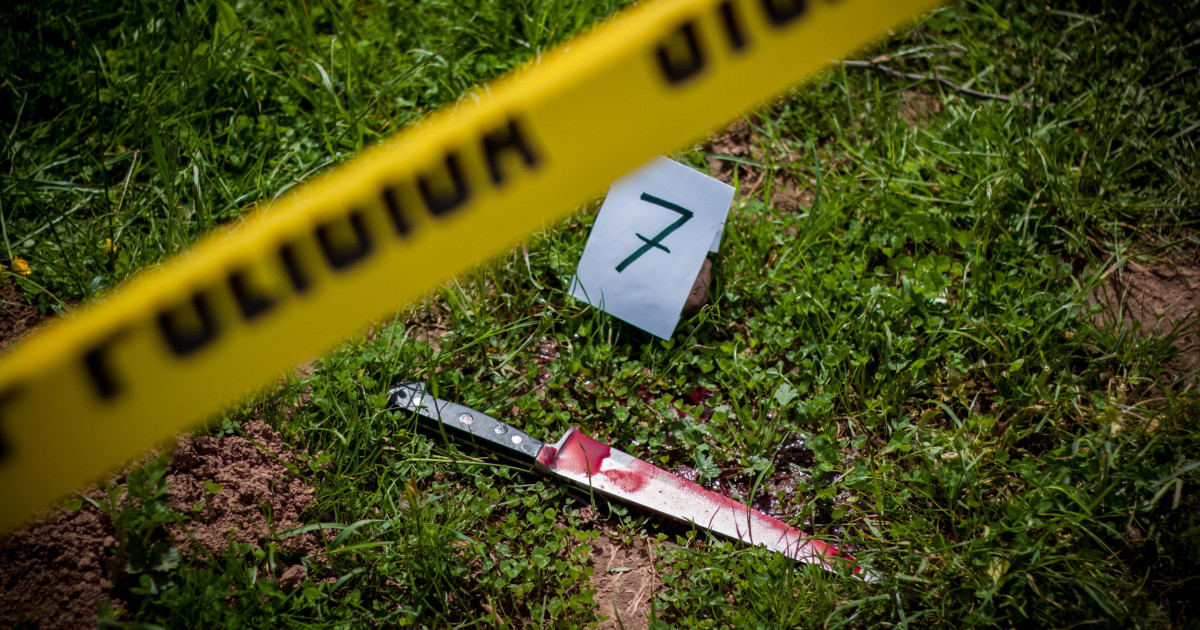 Tribunalul Dolj: Autorul crimei din Grădina Botanică a fost condamnat la 15 ani de închisoare