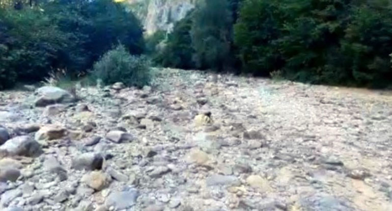 Râuri secate în Gorj