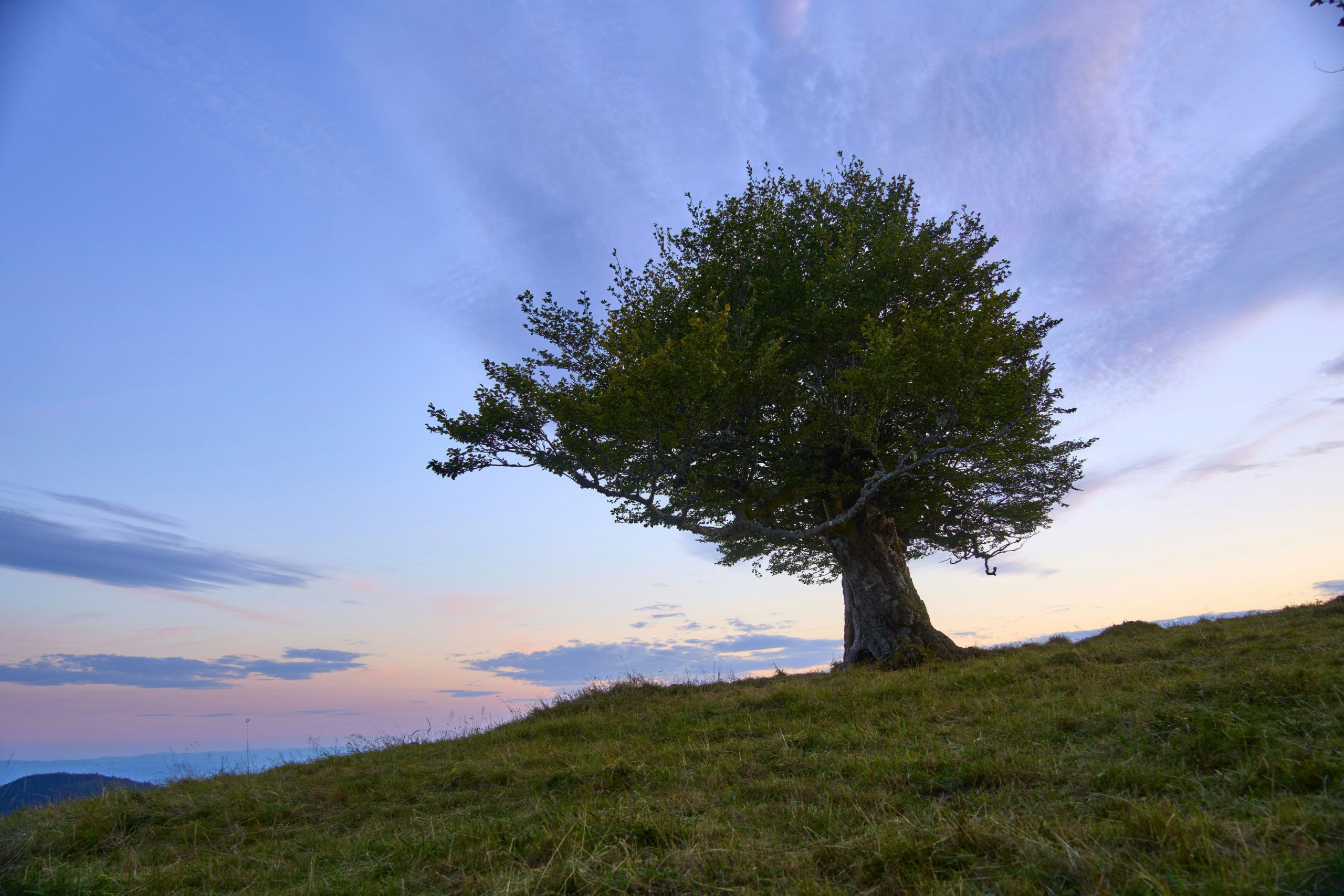 Prognoza meteo – 31 august