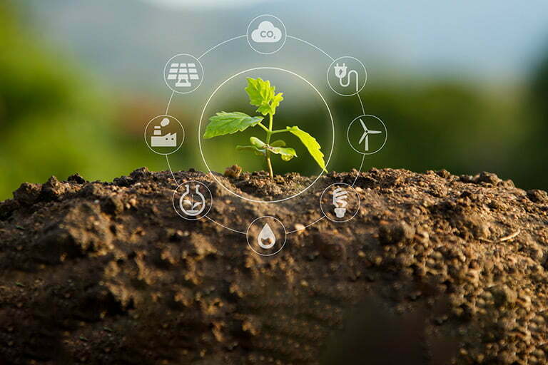 Eveniment dedicat practicilor agricole durabile și proiectului de carbon agricol (AUDIO)