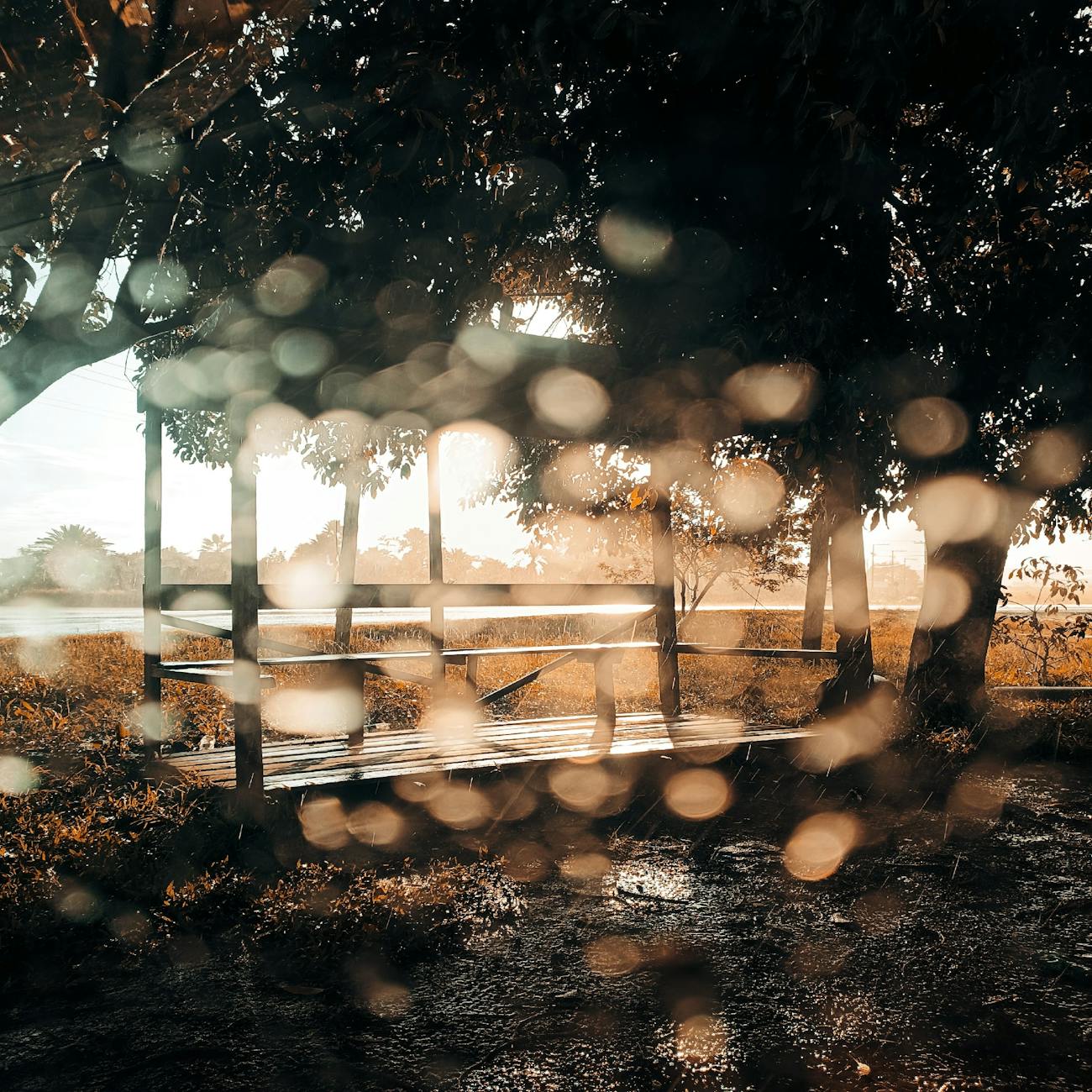 view of a park by a body of water during rainfall