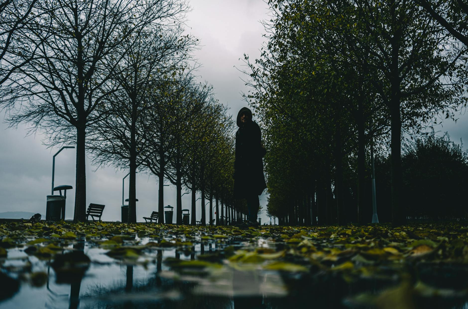 a person walking through a park with leaves on the ground