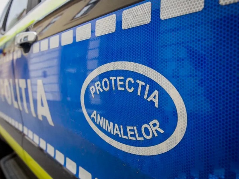 Acțiune de informare a Poliției pentru Protecția Animalelor în Dăneasa