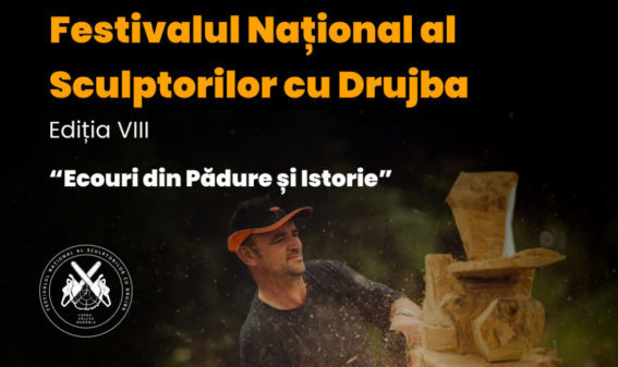 Festivalului Național al Sculptorilor cu Drujba – ediția a VIII-a