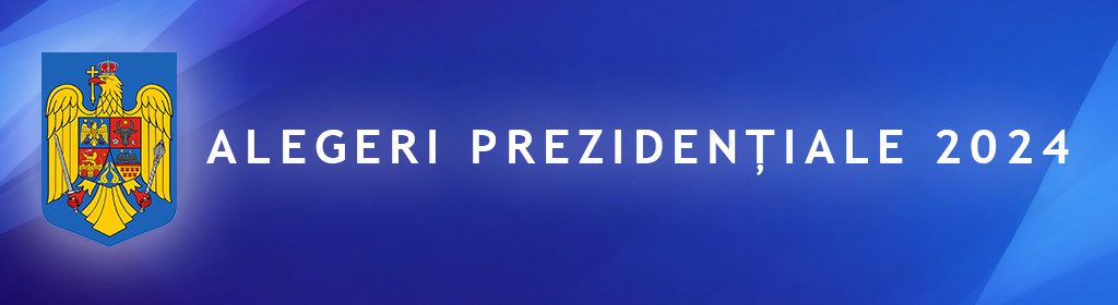 alegeri-site-poza