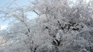 Prognoza meteo 18-19 februarie