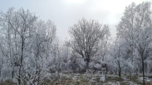 Prognoza meteo – 24/25 decembrie