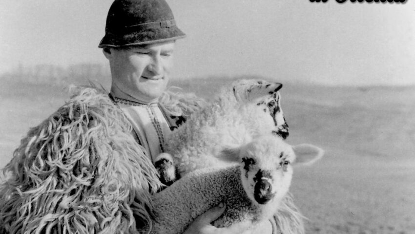 Dinamicile păstoritului transhumant în Oltenia – expoziție temporară la Casa Băniei