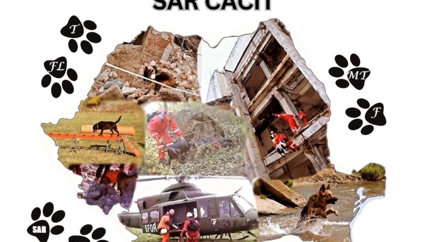 Craiova găzduiește EUROPEAN CACIT 2025