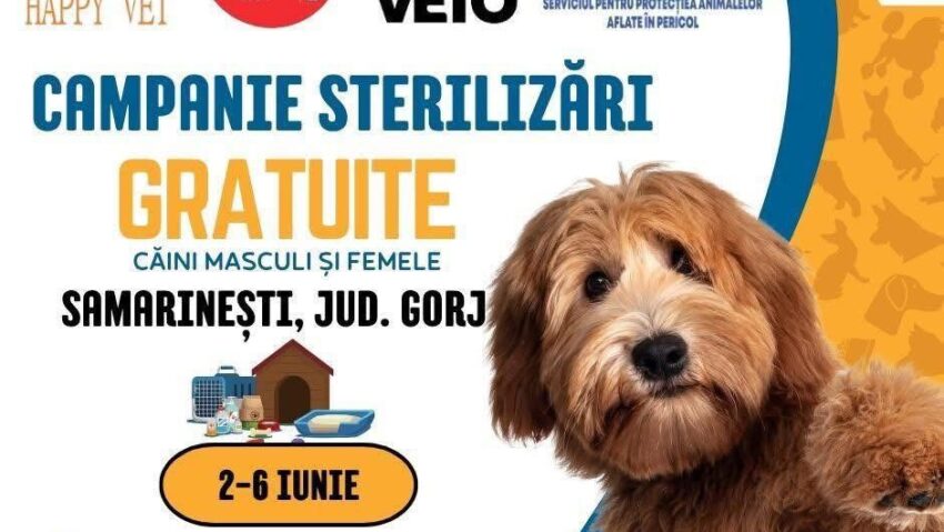 Sterilizări gratuite pentru câini în Samarinești, Gorj – Campanie între 2 și 6 iunie