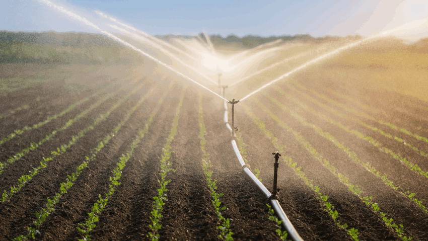 Investiție de peste 200 de milioane de euro în irigațiile din Mehedinți