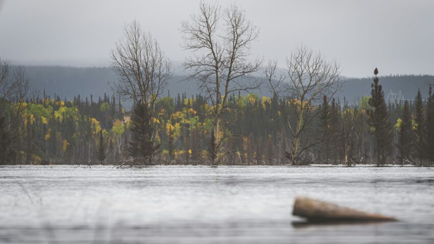 Avertizări de inundaţii pe râuri din 28 de judeţe