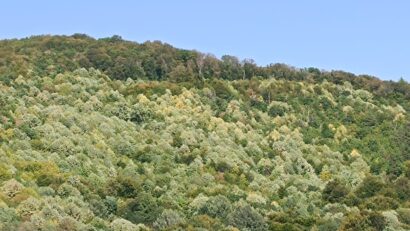 Prognoza meteo – 23/24 aprilie