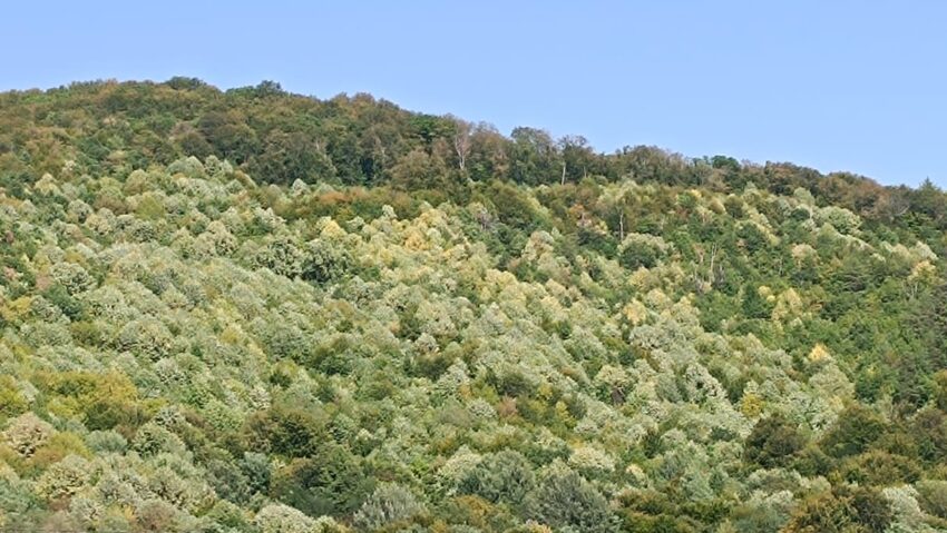 Prognoza meteo – 4/5 septembrie