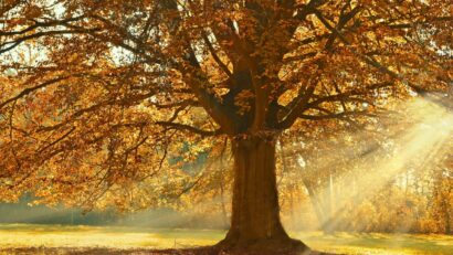Prognoza meteo, 31 octombrie