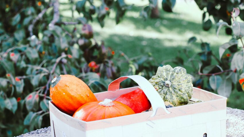 Ziua Recoltei, sărbătorită la Târgu Jiu pe 12 octombrie