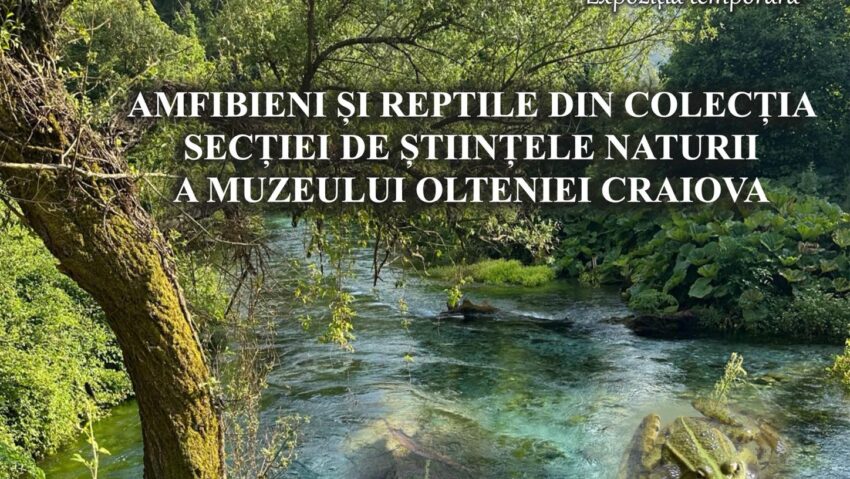 Expoziția de amfibieni și reptile a Muzeului Olteniei Craiova s-a deschis publicului