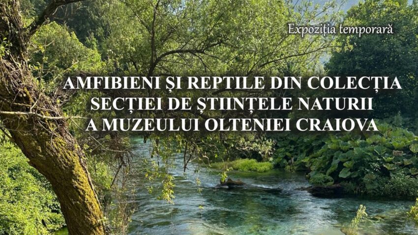 Craiova /Expoziţie de amfibieni şi reptile la Secţia de Ştiinţele Naturii a Muzeului Olteniei