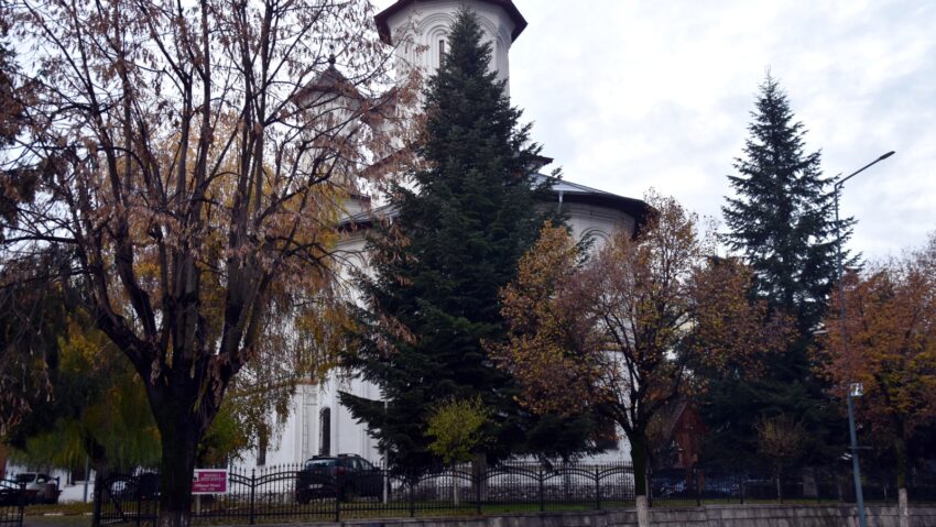 Râmnicu Vâlcea: Brad de 16 metri în Târgul Decembrie Magic