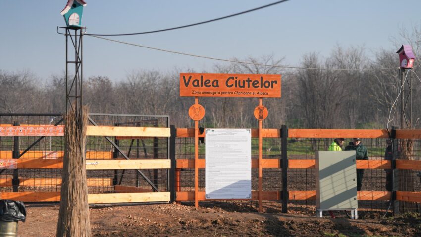 Valea Ciutelor, noua atracție din Parcul Nicolae Romanescu