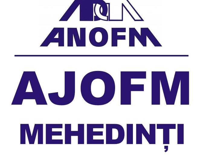 Mehedinți: cursuri de calificare pentru șomeri