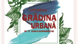 Craiova/”Imersiuni Vizuale” – Festival de pictură pentru Studenți