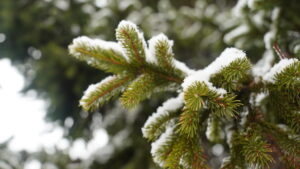 Ger în mare parte din țară, dar fără drumuri blocate