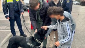 Acțiuni integrate pentru creșterea siguranței în școli