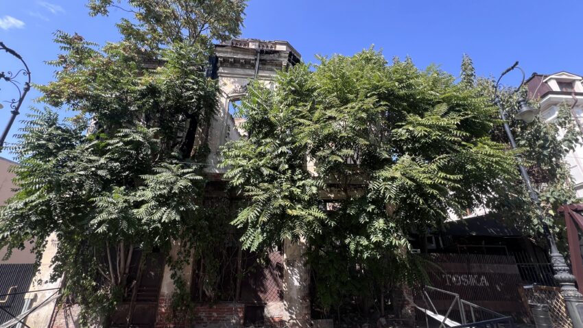 Primăria Craiova scoate din nou la vânzare „casa cu copaci”