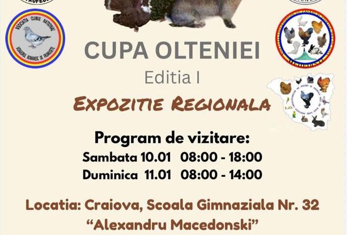 Cupa Olteniei debutează cu o expoziție regională de păsări și iepuri
