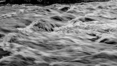 Jiu peste cota de inundație: terenuri agricole afectate