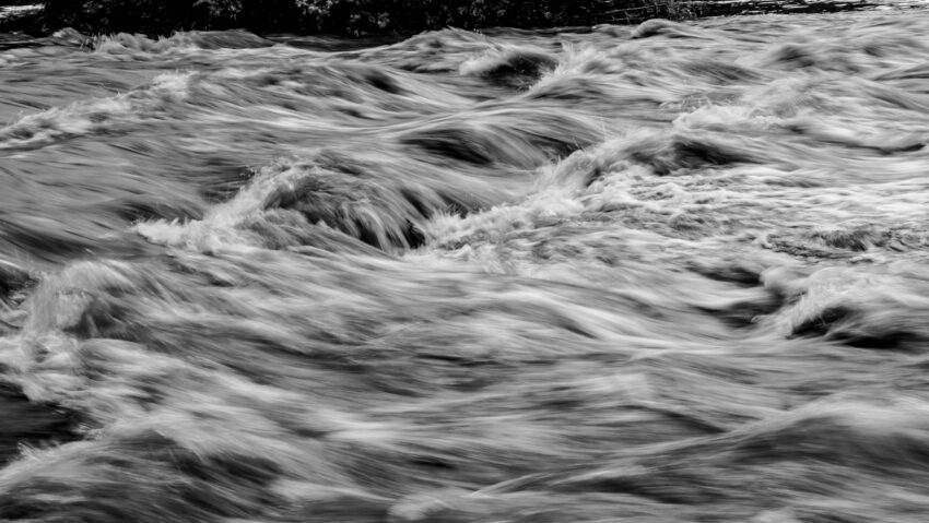 Jiu peste cota de inundație: terenuri agricole afectate