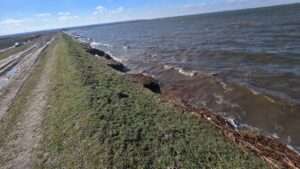 Erodare locală la digul Polderului Bistreț pe fondul creșterii nivelului apei