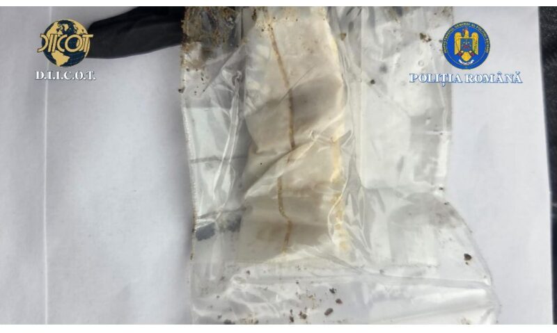 Arestat preventiv pentru trafic de droguri