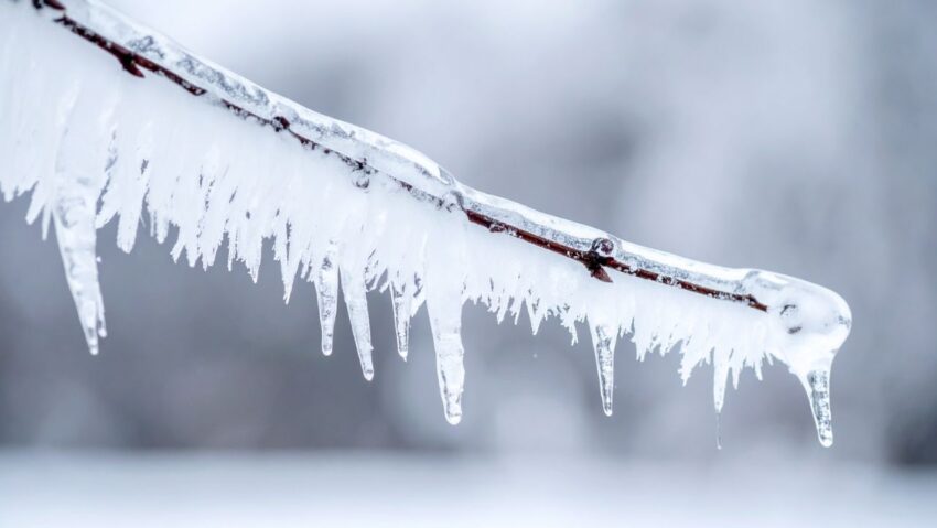 ANM: Cod galben de ger, în 24 de județe și în București, până miercuri dimineața