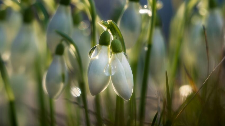 Prognoza meteo – 23 februarie